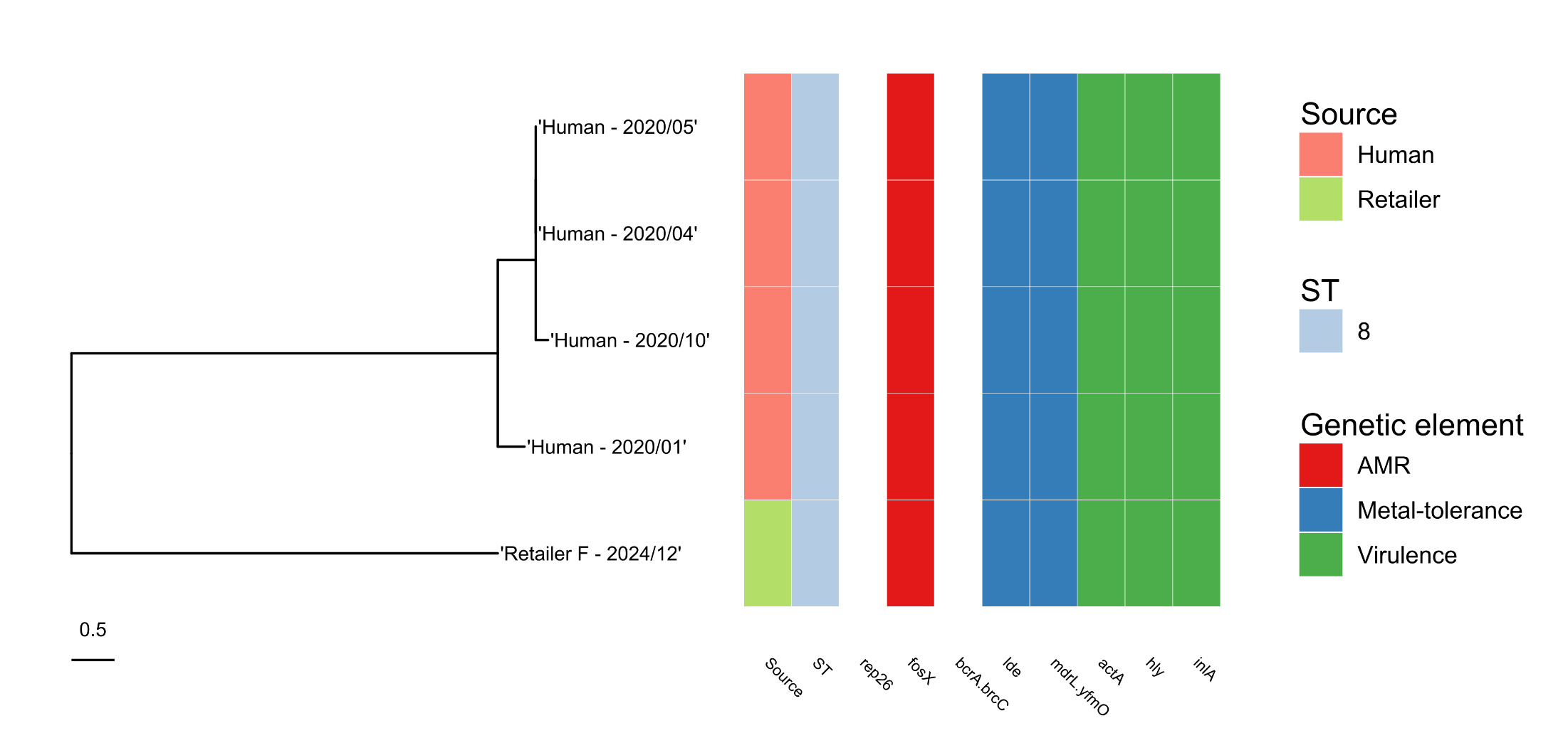 Phylogenetic tree showing relationship between the L. monocytogenes ST8 isolate from the study of retail raw salmon and four human cases. There are 2 main cluster in the phylogenetic tree. 