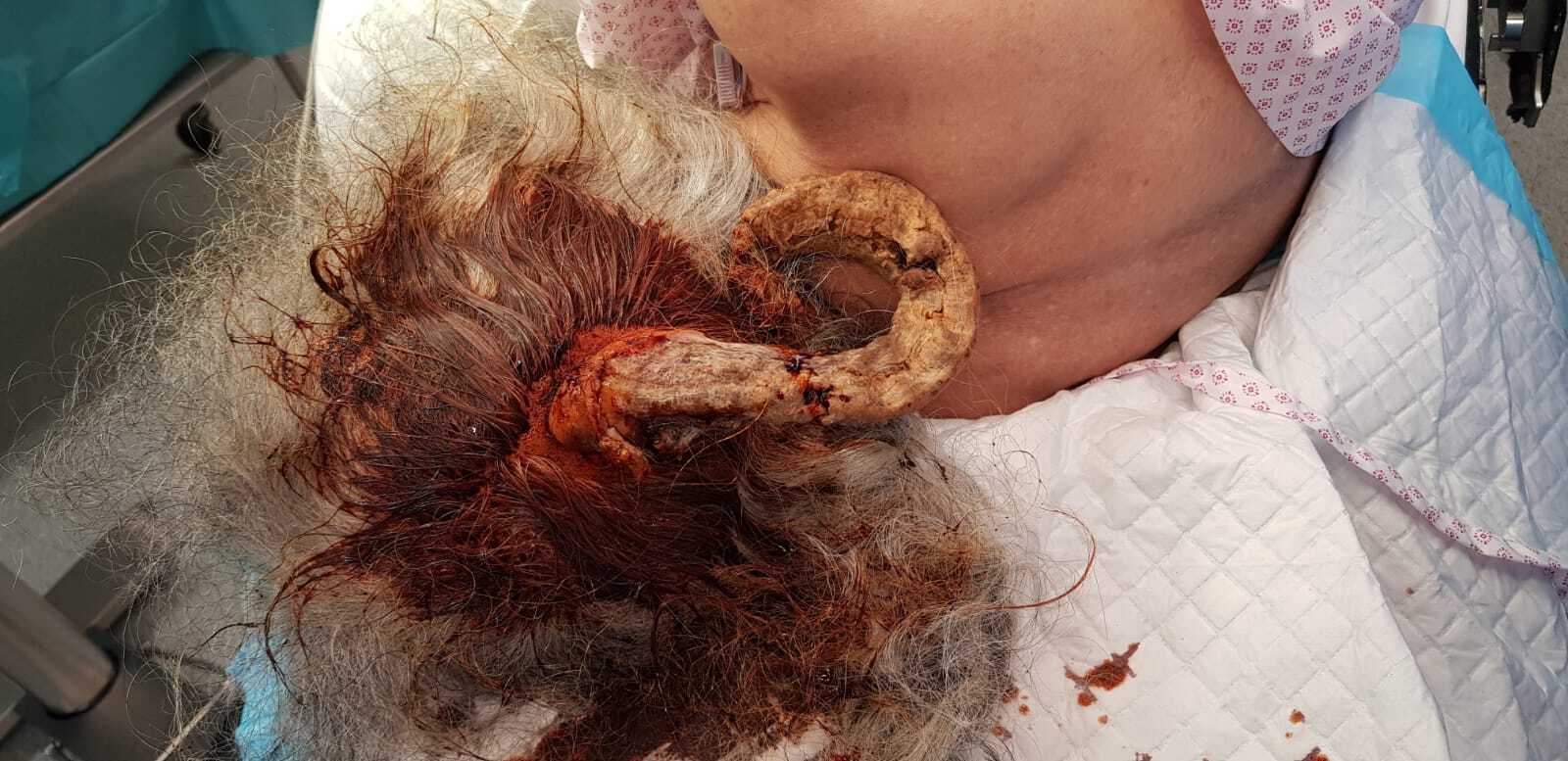 C:Usersrm19229DesktopWhatsApp Image 2024-04-02 at 12.38.51.jpeg