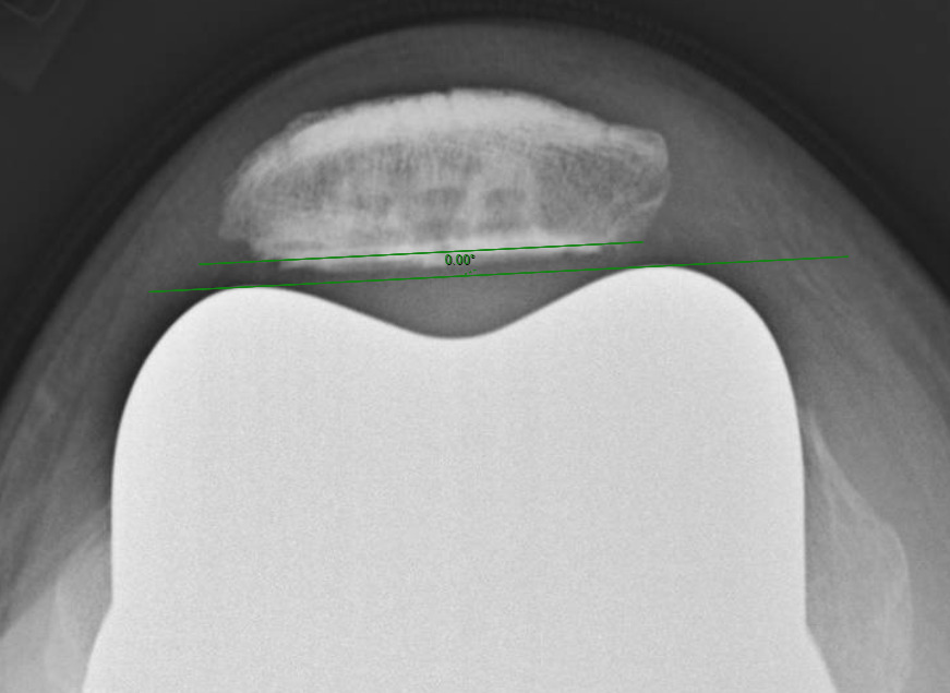 A picture containing seat Description automatically generated