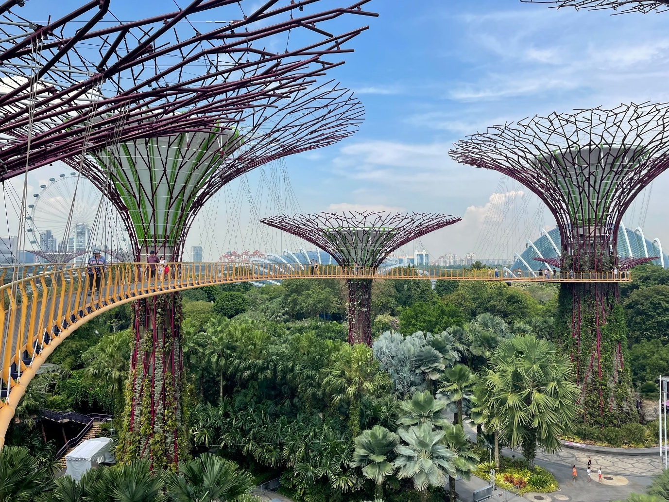 A bridge over trees with people walking on it AI-generated content may be incorrect.