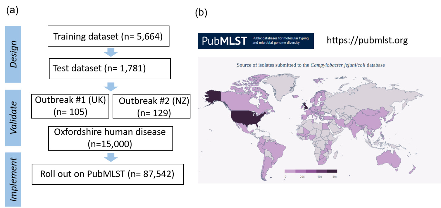 Panel A outlines the number of isolates used in the training, test and validation datasets before LIN codes were rolled out on PubMLST. Panel B shows a map of the world, shaded to show source of Campylobacter isolates submitted to PubMLST by country.