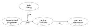 How SMEs Leverage Adaptability, Risk-Taking, and Action Into Positive ...
