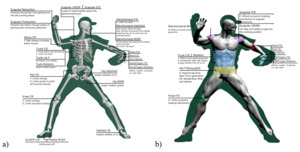 Evaluation and Treatment of Baseball Pitchers: There’s More to Assess ...