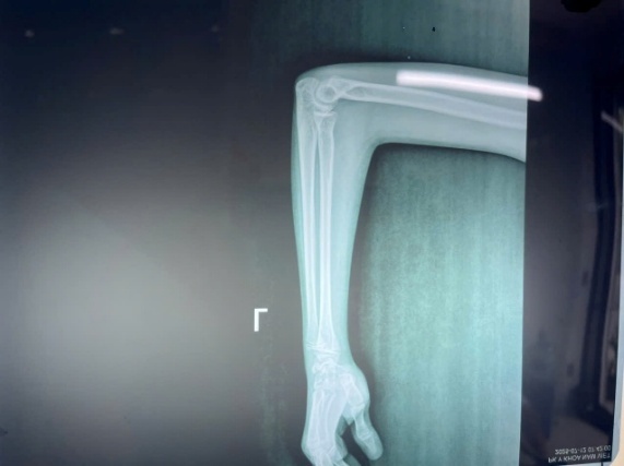 Ảnh có chứa phòng tắm, trong nhà, ảnh chụp màn hình, tường Nội dung do AI tạo ra có thể không chính xác.