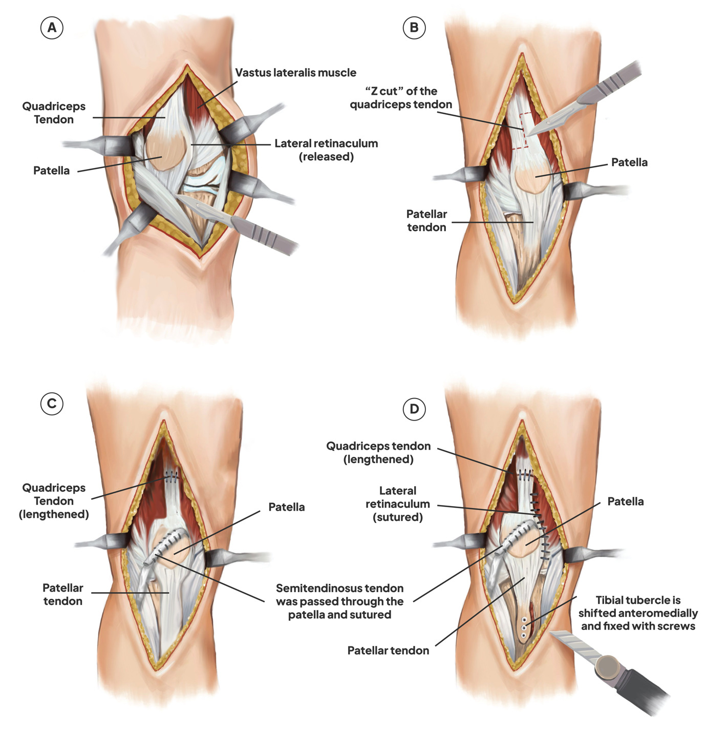 A diagram of a human body Description automatically generated with medium confidence