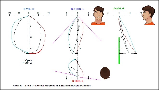 A diagram of a person's body Description automatically generated