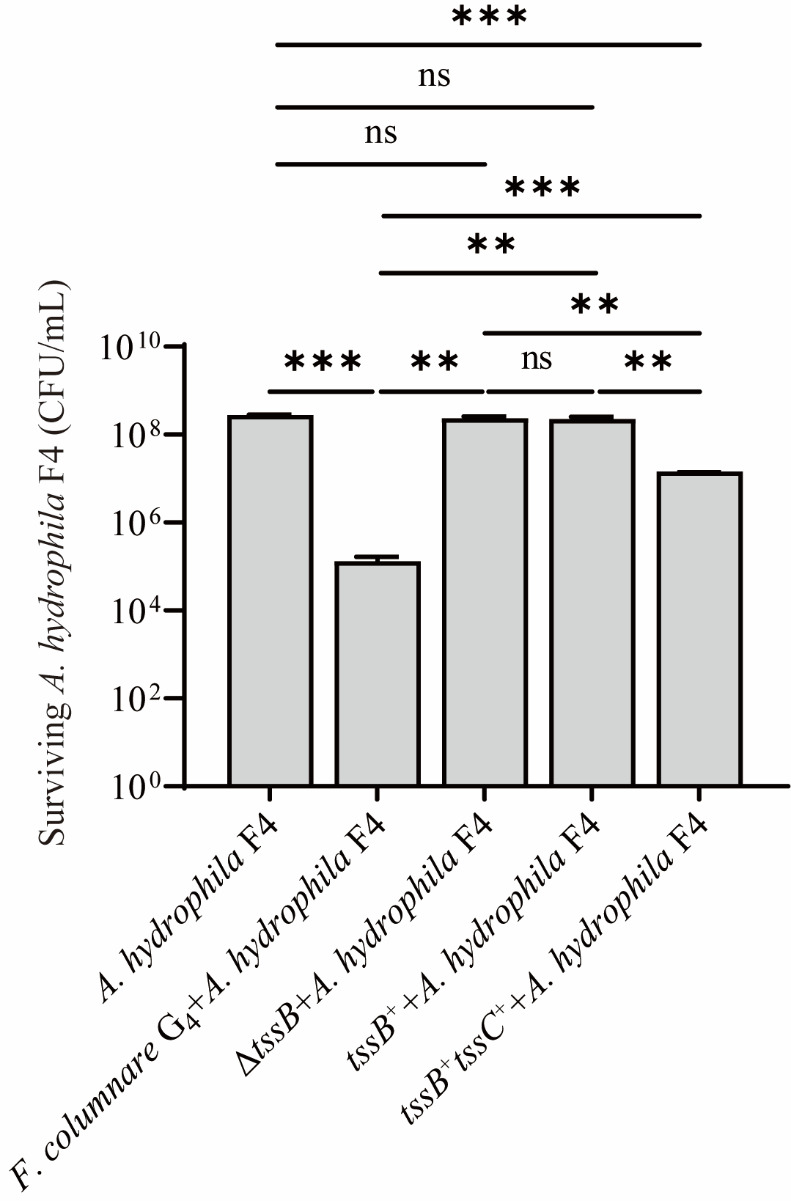 Figure 5
