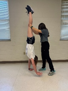 Rehabilitation of an Upper Extremity Weight-Bearing Athlete with an ...