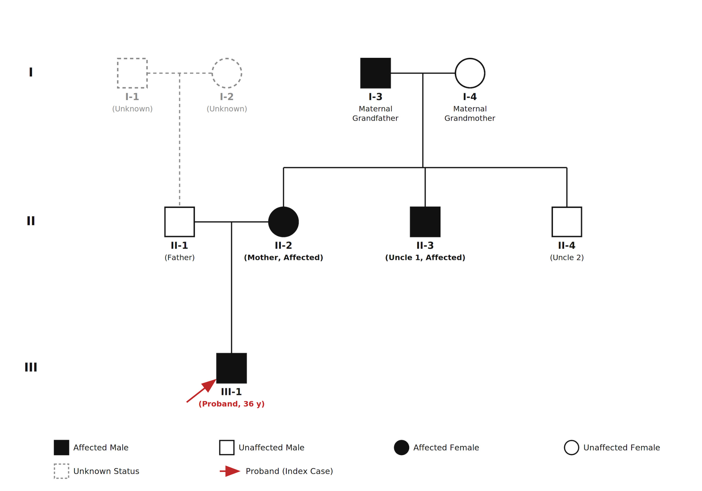 A diagram of a family tree Description automatically generated
