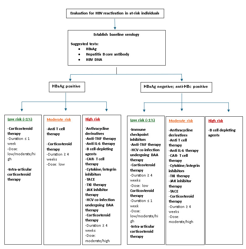 A diagram of a patient's life cycle