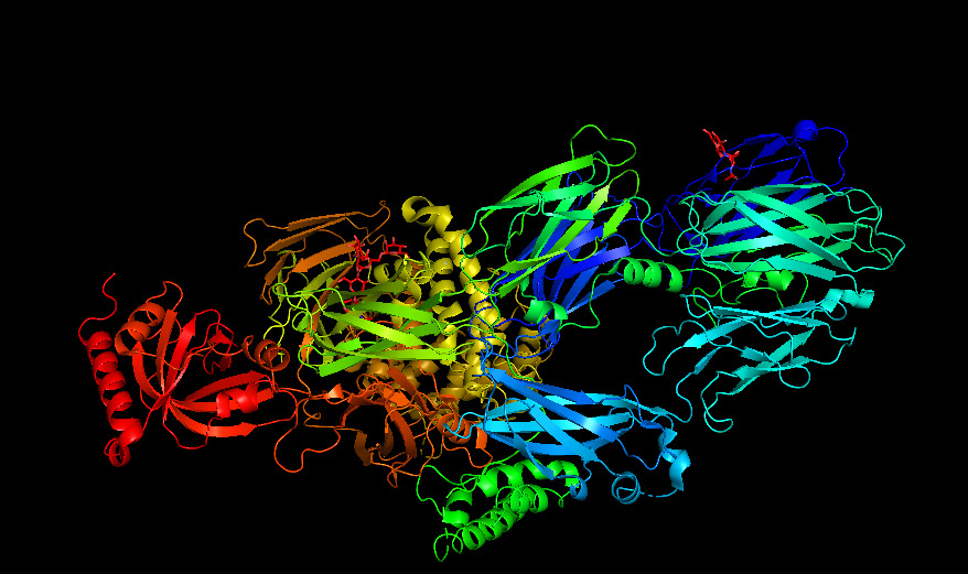 Figure 4