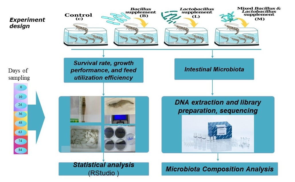 A diagram of a fish specimen AI-generated content may be incorrect.