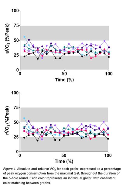 A graph of different sizes and colors AI-generated content may be incorrect.