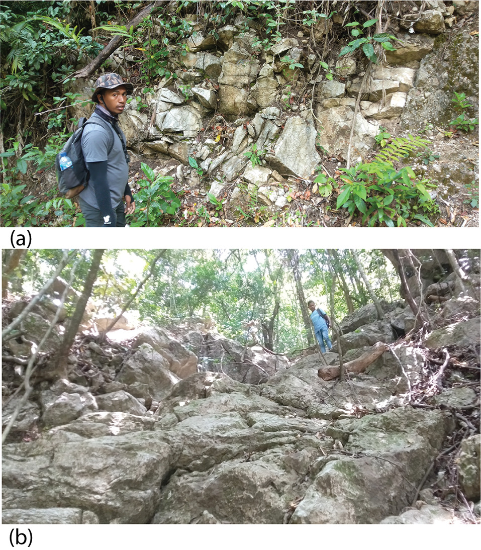 Fig. 13