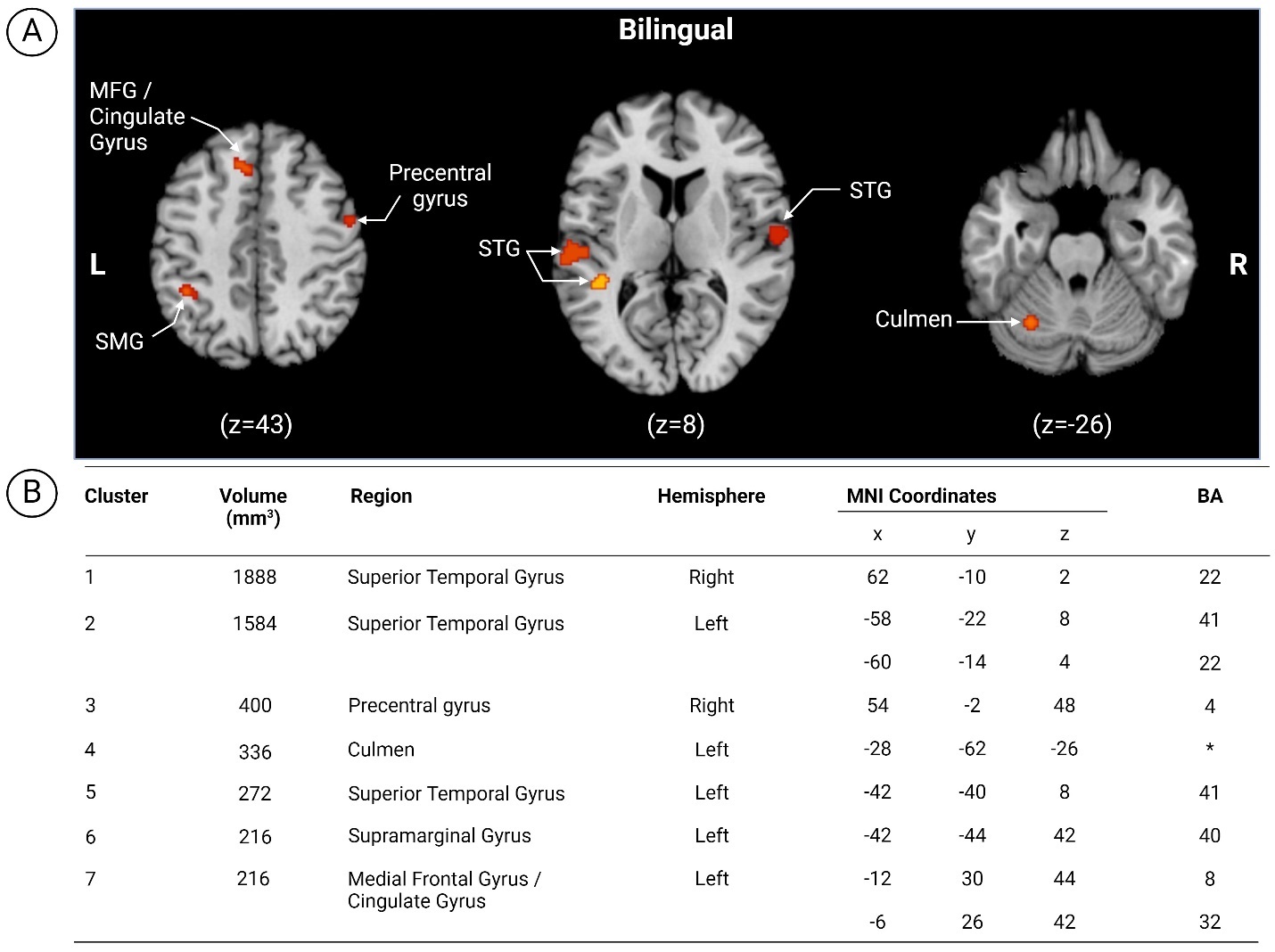 A close-up of a brain scan Description automatically generated