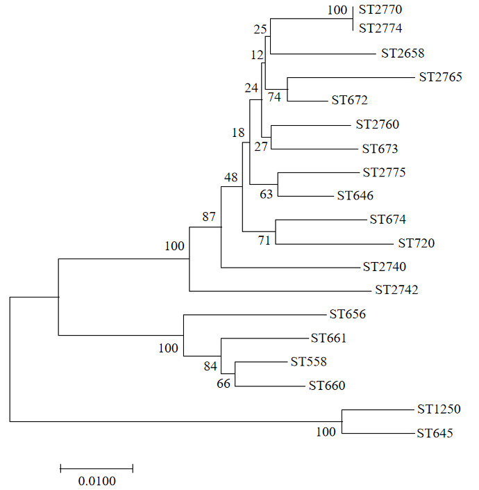 figure7
