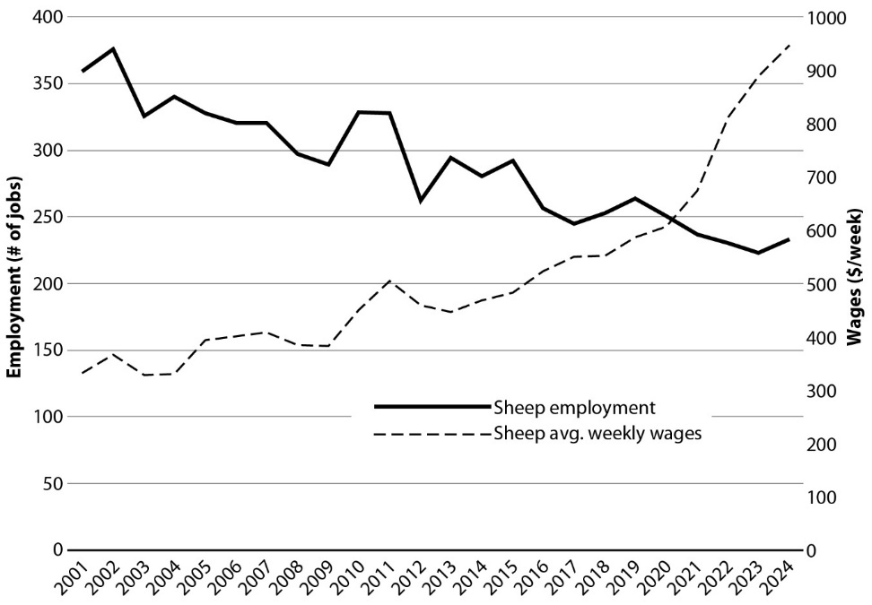 Line chart showing sheep industry employment declined from roughly 365 to 230 workers (2001--2024), while average weekly wages rose from $340 to $950.