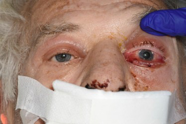 A close-up of a person's face Description automatically generated