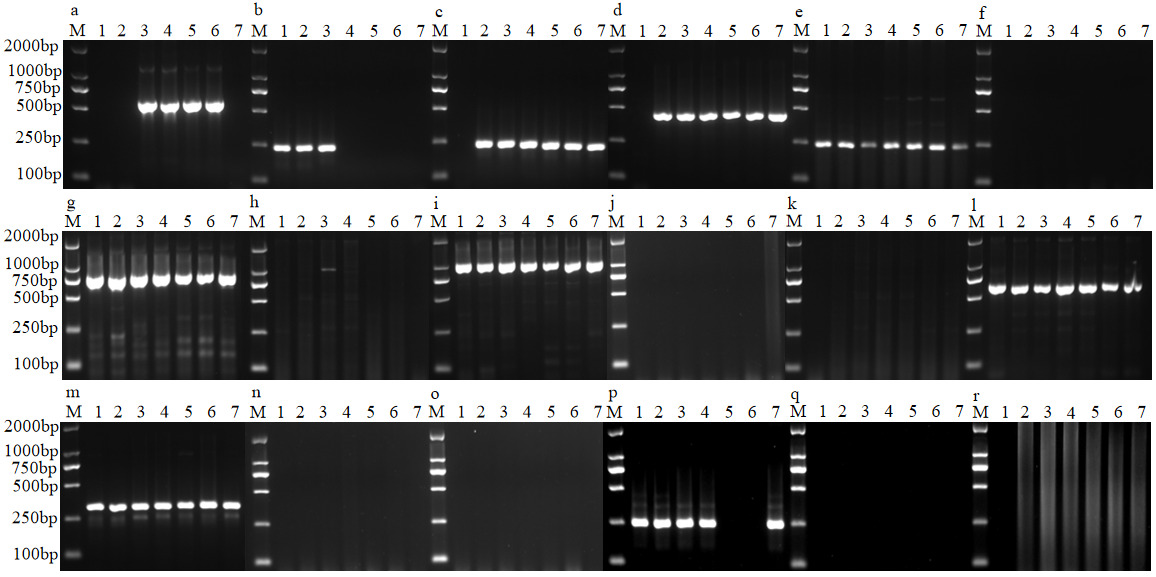 figure5