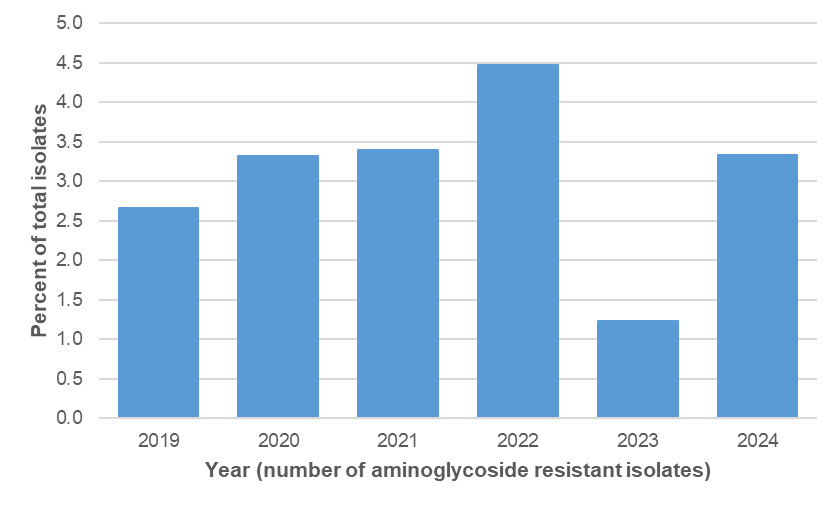 Figure 14 shows the percentage of Oxfordshire human disease Campylobacter isolates that have aminoglycoside resistant genetic determinants by year. Data are shown for the years 2019 to 2024.