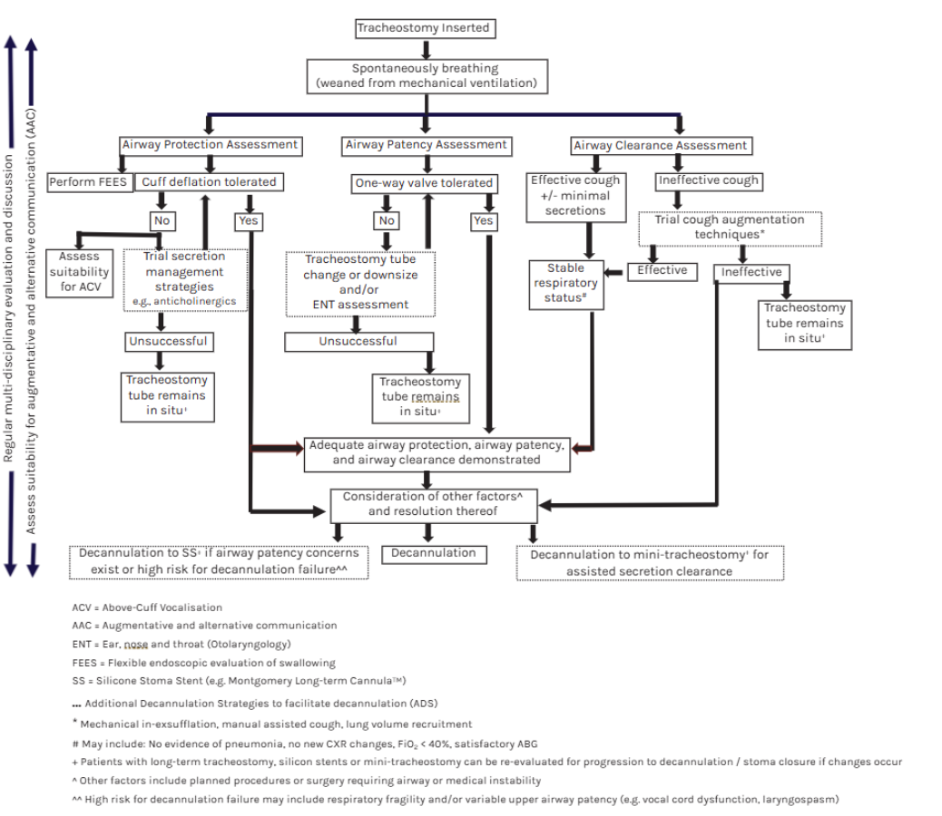 Tracheostomy clinical pathways for mechanical ventilation weaning