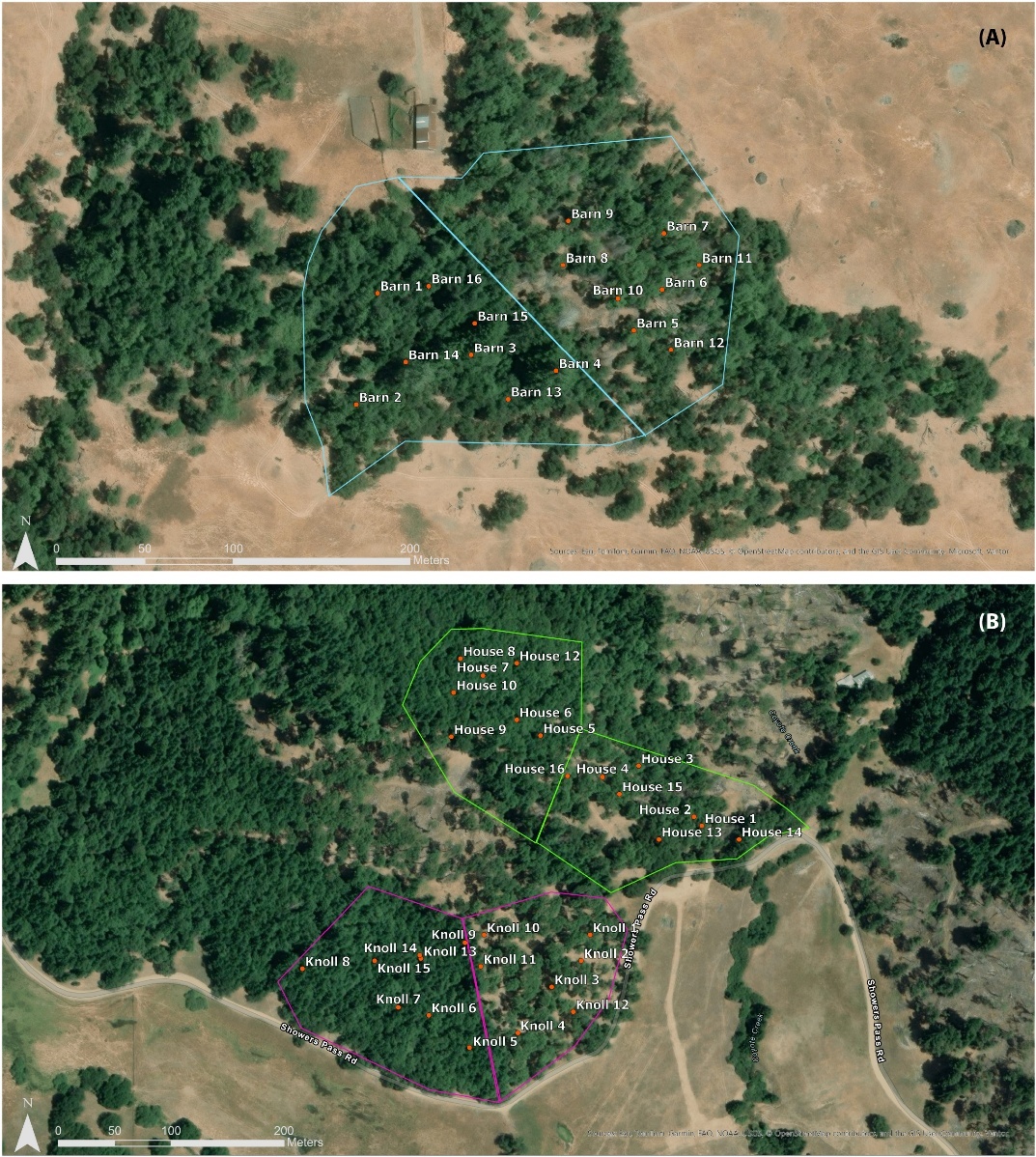 Panel A (top): Satellite image of a group of green oak trees surrounded by brown grassland shows the Barn study plot. The plot is split by a straight boundary into treatment and control areas with four sampling points each. Treatment and control areas are located on similar terrain and aspect. Panel B (bottom): Satellite image of a green woodland landscape shows the House (center, top of image) and Knoll (center, bottom) study plots. Each plot is split by a straight boundary into treatment and control areas with four sampling points each. Treatment and control areas are located on similar terrain and aspect.