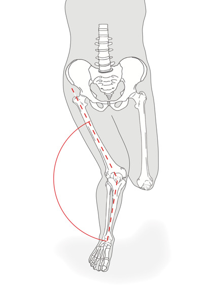A drawing of a human skeleton AI-generated content may be incorrect.