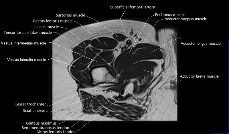 Diagram Description automatically generated, Picture