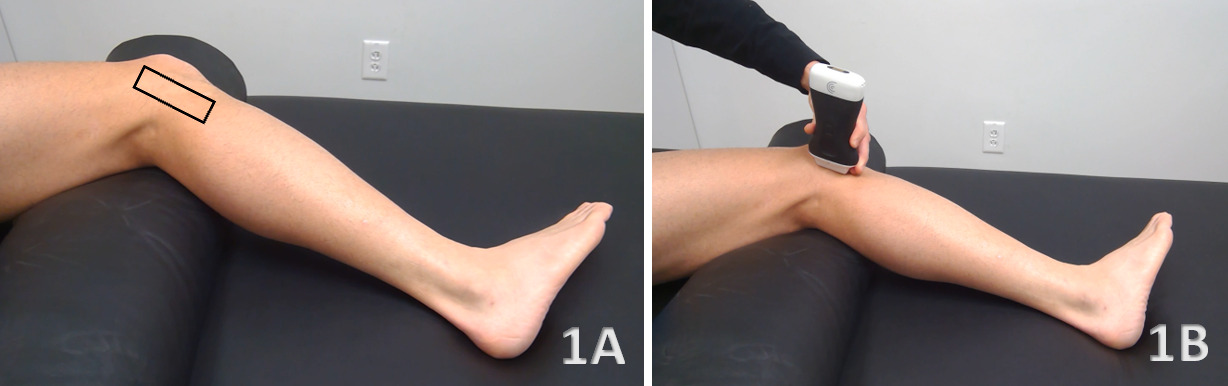 A person's leg and leg with a person's leg AI-generated content may be incorrect.