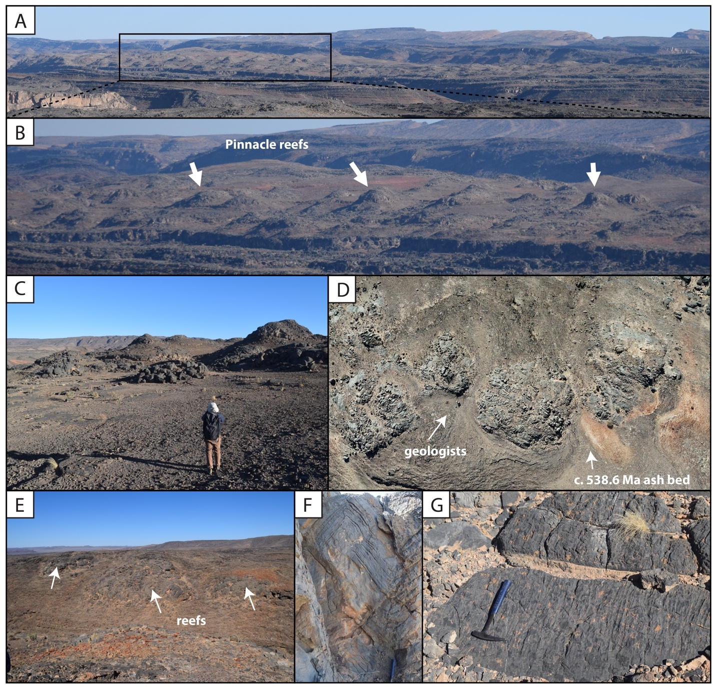 A collage of different views of a rocky landscape AI-generated content may be incorrect.