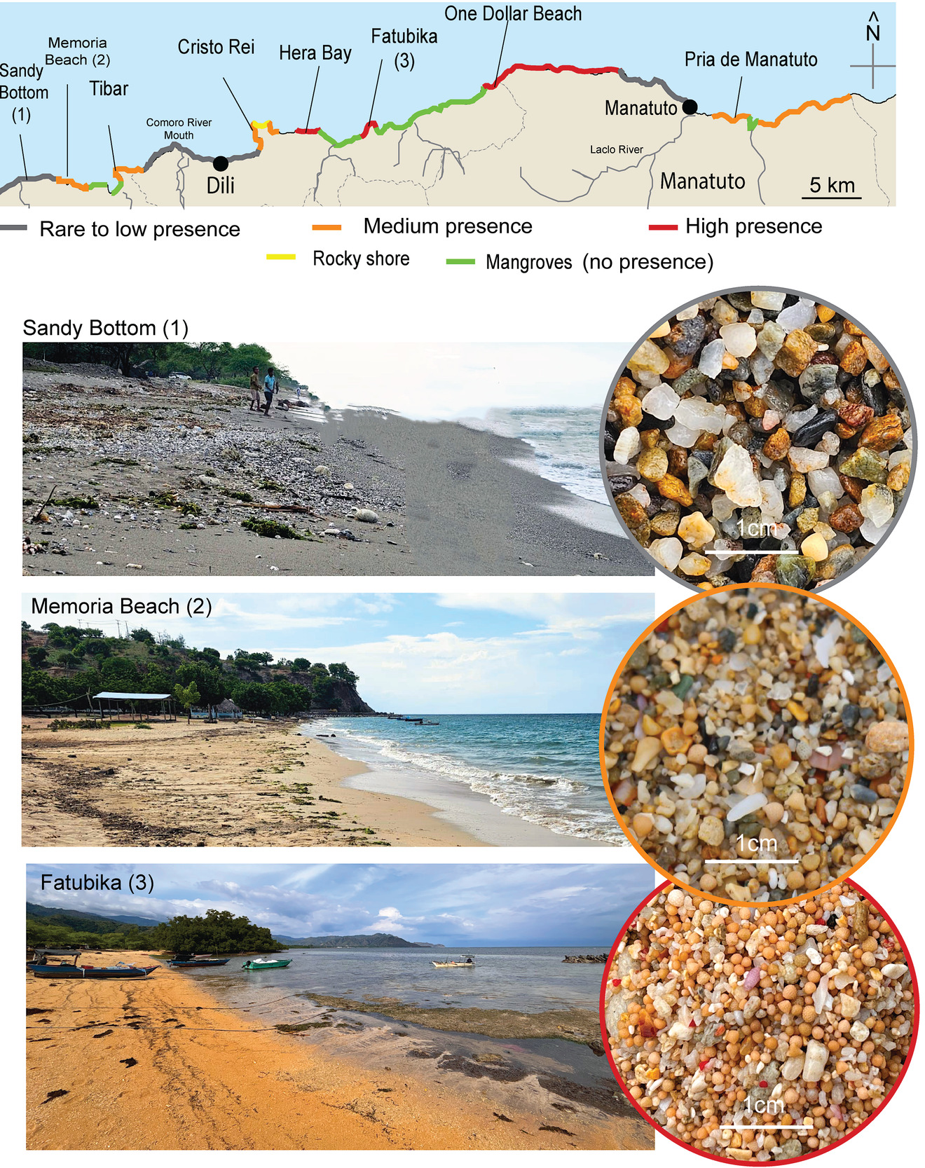 A collage of different types of rocks Description automatically generated