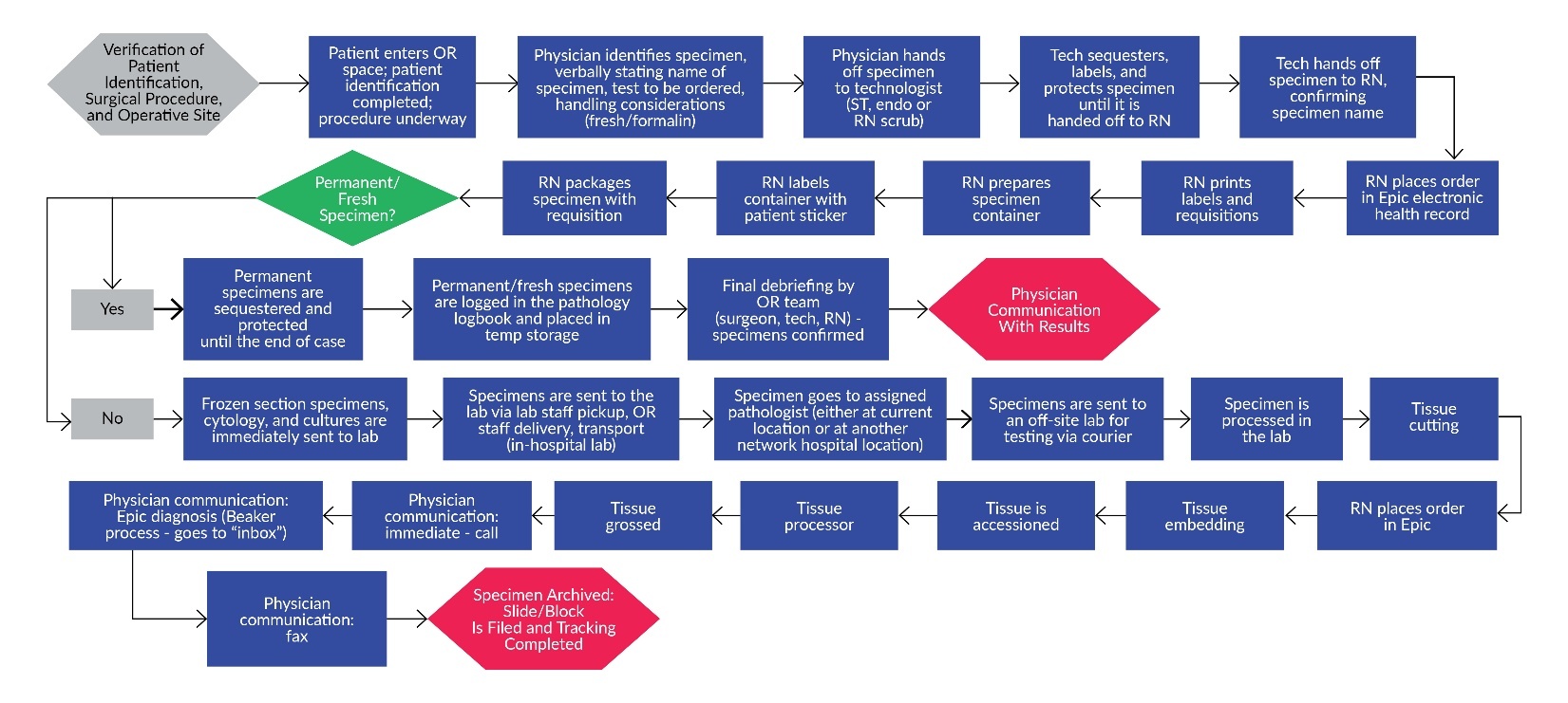 Figure 1. Process Flow for Specimen FMEA.