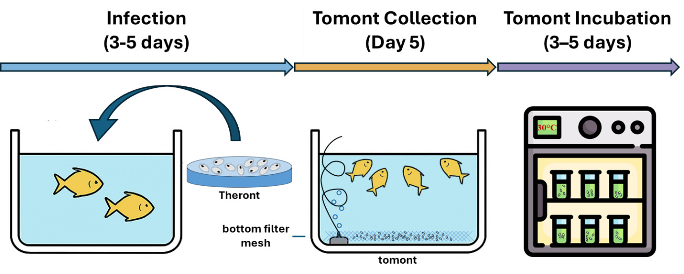 A diagram of a fish tank AI-generated content may be incorrect.