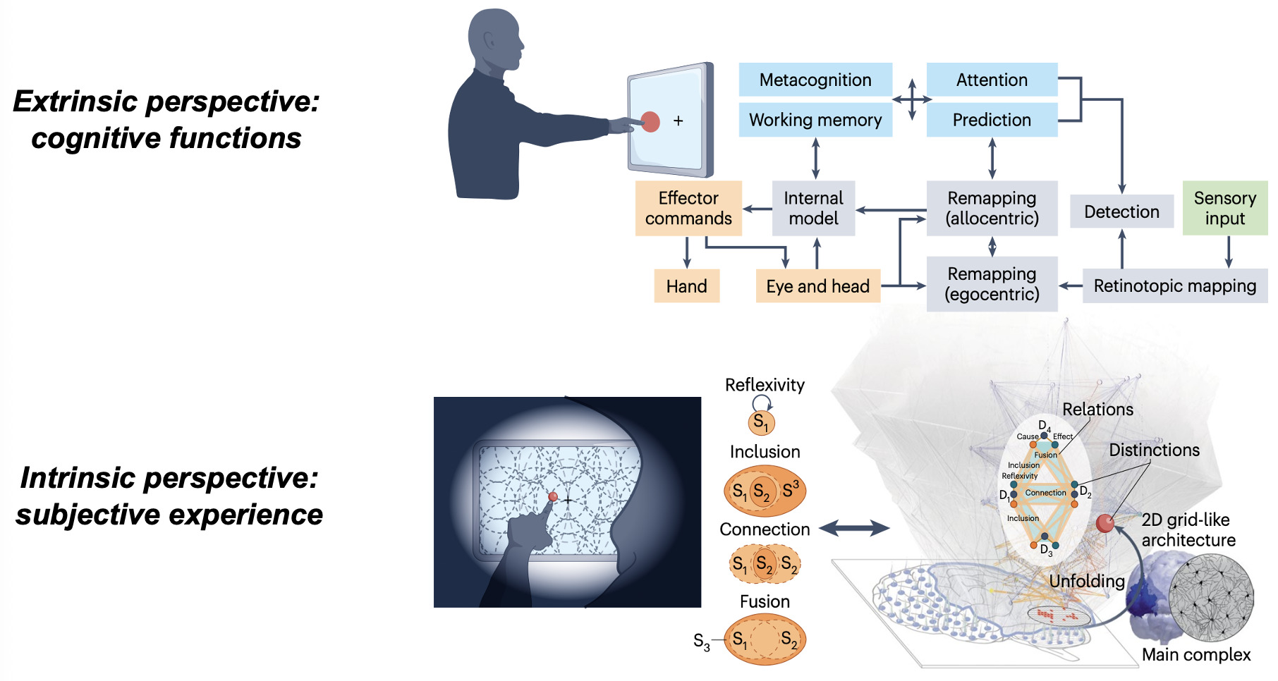 A diagram of a person using a computer AI-generated content may be incorrect.