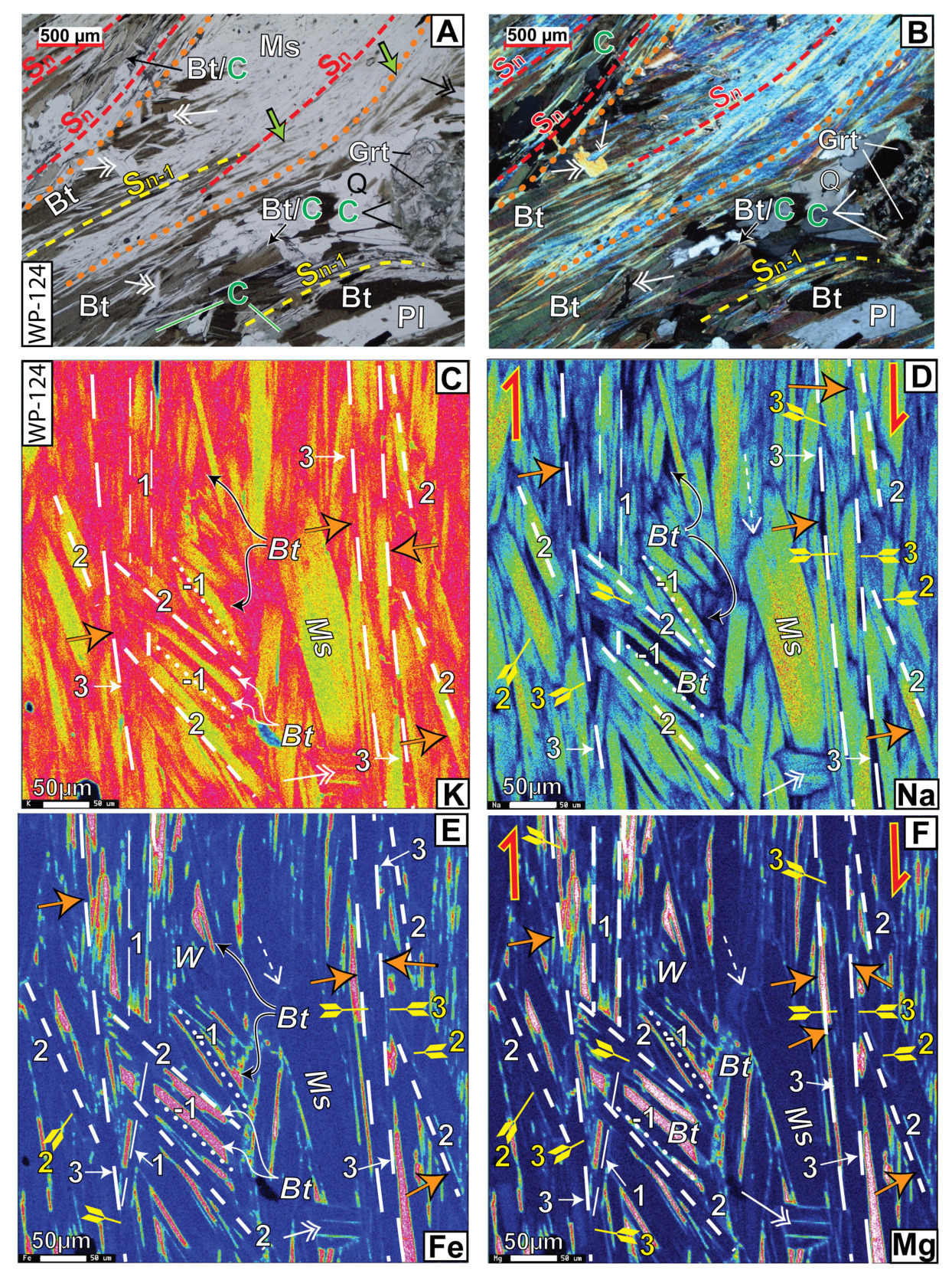 A collage of images of different colors Description automatically generated