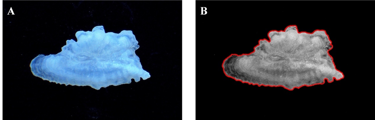 图片包含 蛋糕, 游戏机, 桌子, 生日 描述已自动生成