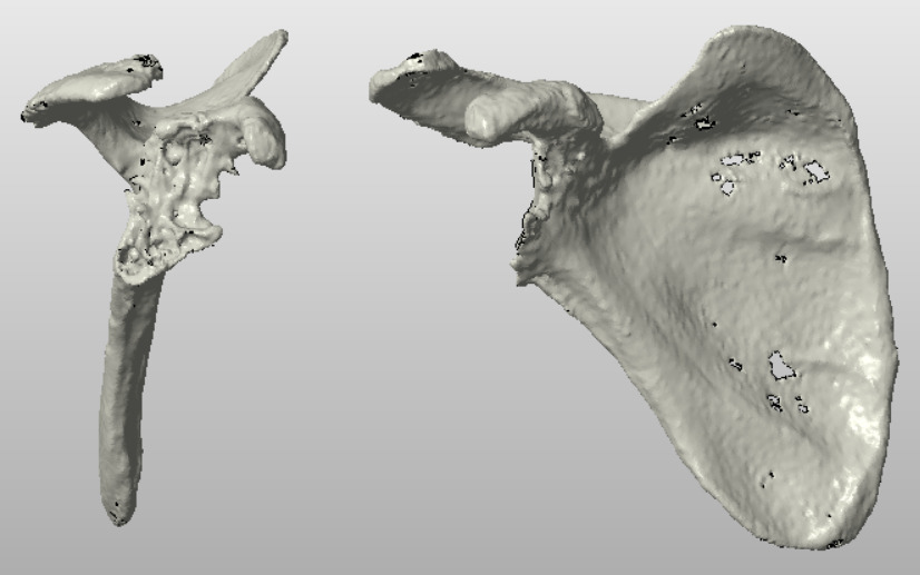 Figure 9