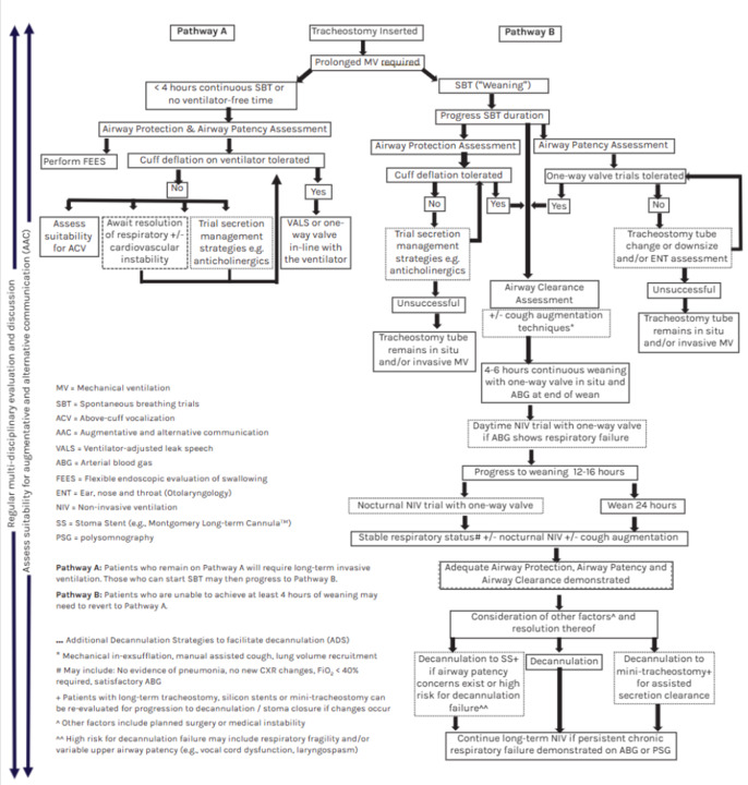 Tracheostomy clinical pathways for mechanical ventilation weaning