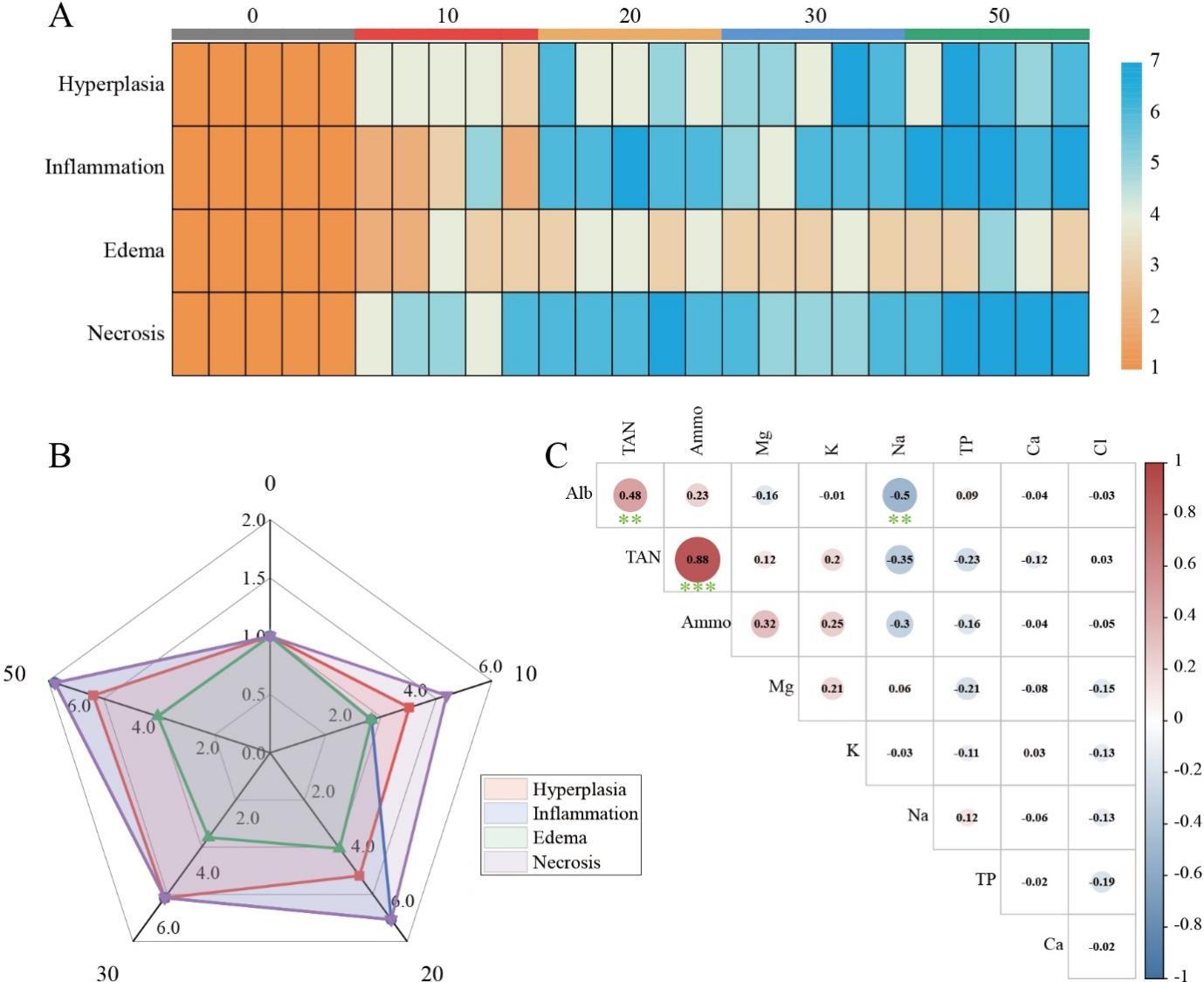 图表, 雷达图 描述已自动生成