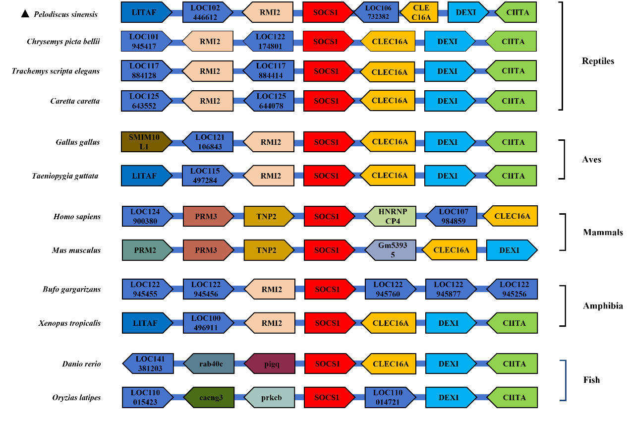 图示 AI 生成的内容可能不正确。