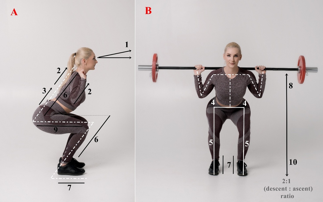 Back Squat Diagram Physics Of The Squat The Physics Of Powerlifting