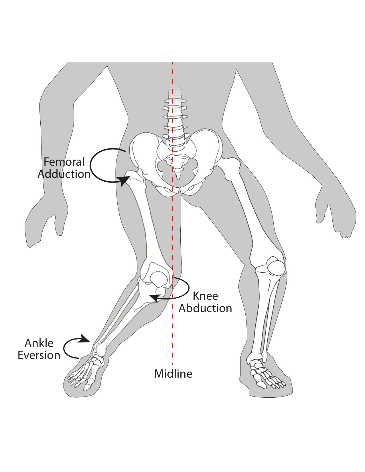A diagram of a human body AI-generated content may be incorrect.