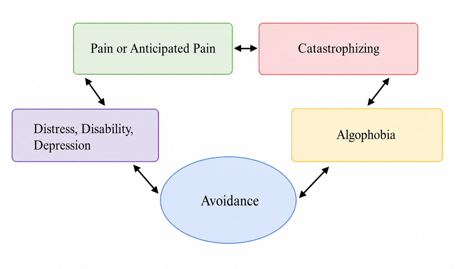 A diagram of different types of pain AI-generated content may be incorrect.