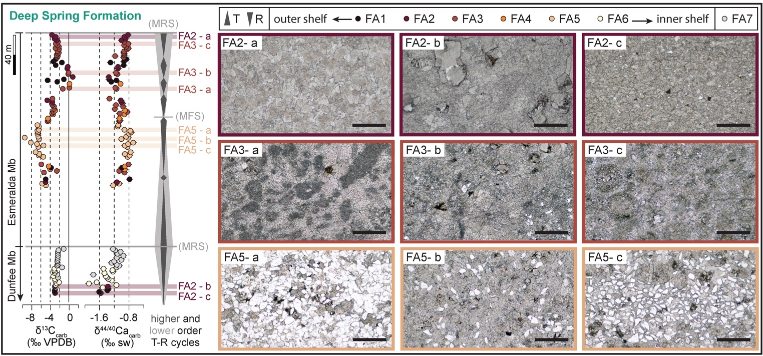 A close-up of a sample of granite AI-generated content may be incorrect.