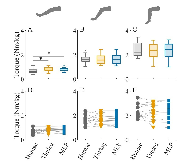 A diagram of different types of lines AI-generated content may be incorrect.