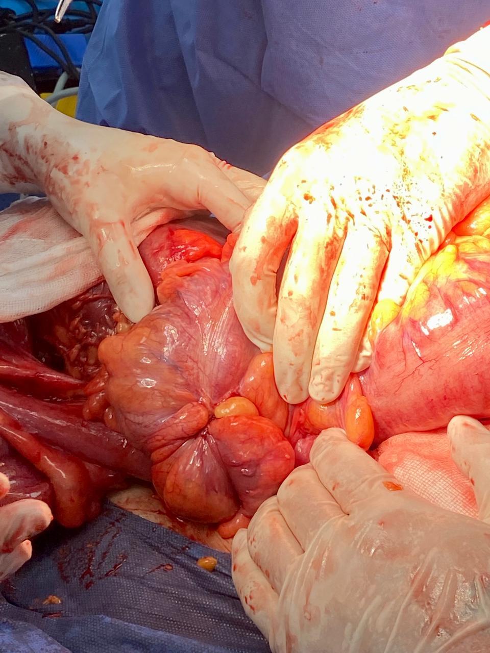 Langosta en su mano El contenido generado por IA puede ser incorrecto.