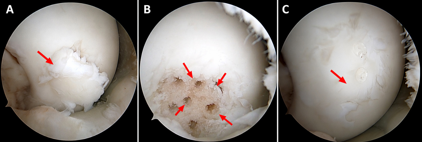 Figure 12