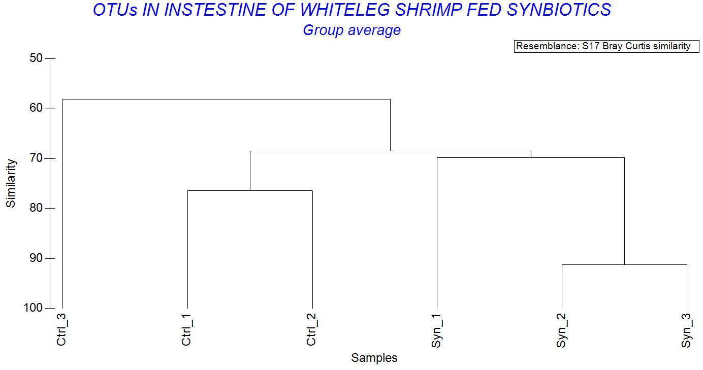 C:UsersAdminAppDataLocalMicrosoftWindowsINetCacheContent.WordGraph6 - Similarity.png