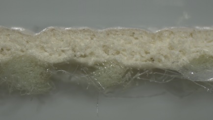 ekmek, yemek, gıda içeren bir resim Yapay zeka tarafından oluşturulan içerik yanlış olabilir.