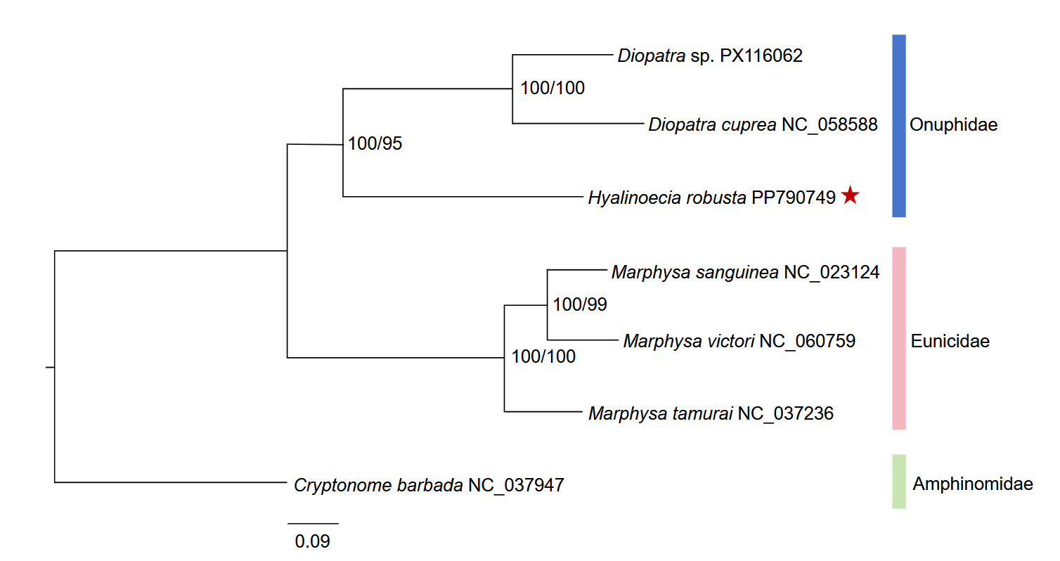 Figure 4